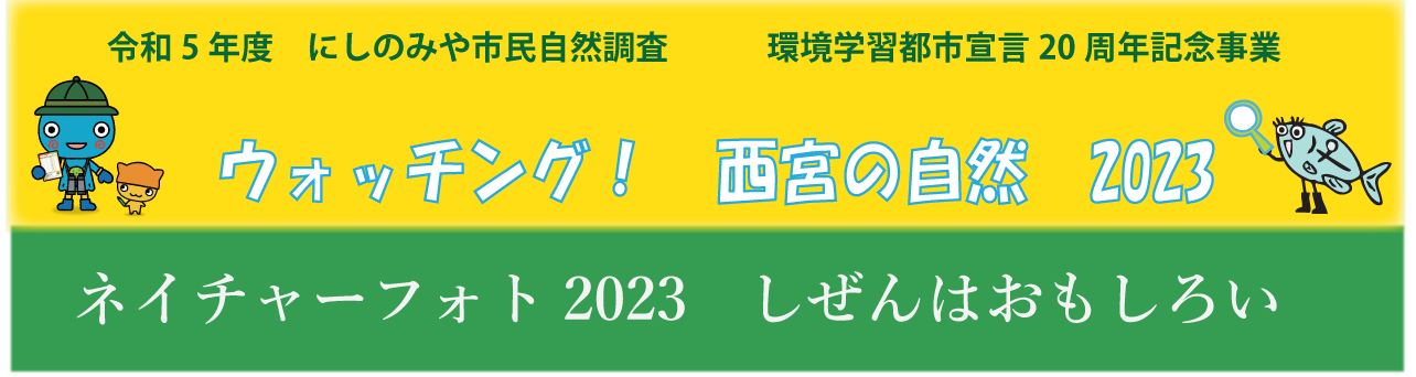 ウォッチング!西宮の自然2023